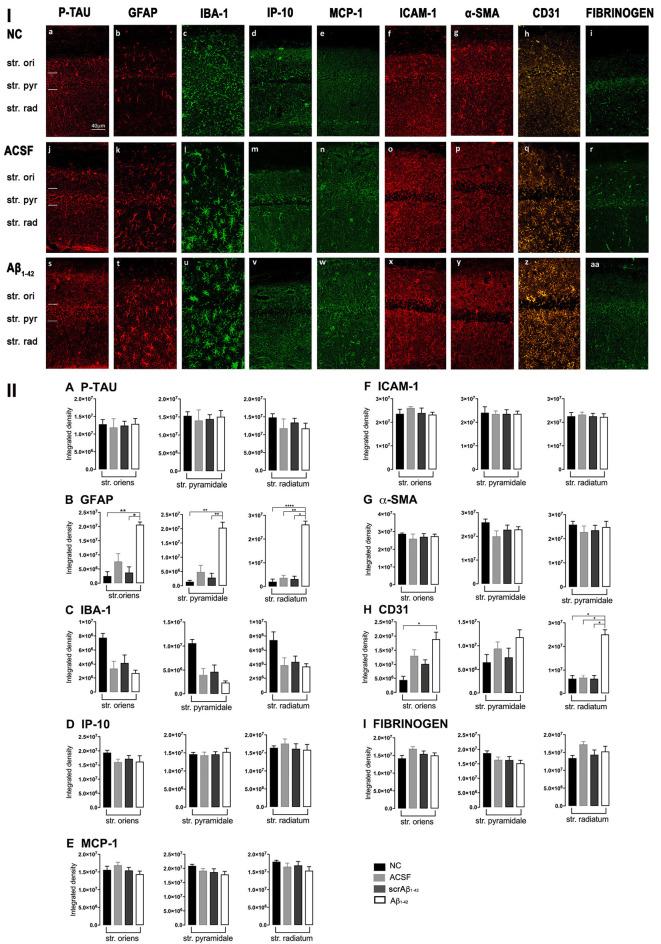 https://cdn.ncbi.nlm.nih.gov/pmc/blobs/8af9/7667153/786a0080e9c0/fnmol-13-552073-g0003.jpg