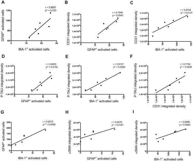 https://cdn.ncbi.nlm.nih.gov/pmc/blobs/8af9/7667153/933c4a060539/fnmol-13-552073-g0008.jpg