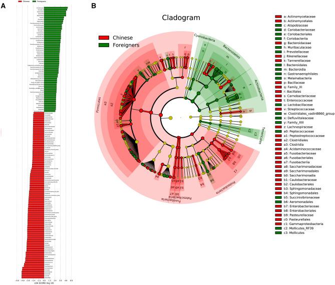 https://cdn.ncbi.nlm.nih.gov/pmc/blobs/8afb/8184825/11d6cae332cb/41598_2021_91429_Fig4_HTML.jpg