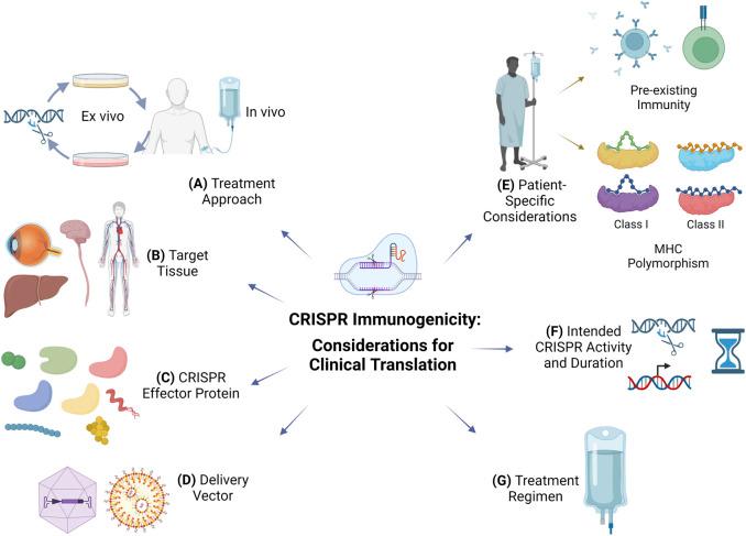 https://cdn.ncbi.nlm.nih.gov/pmc/blobs/8afb/9978118/0dbe345bb2e4/fbioe-11-1138596-g001.jpg