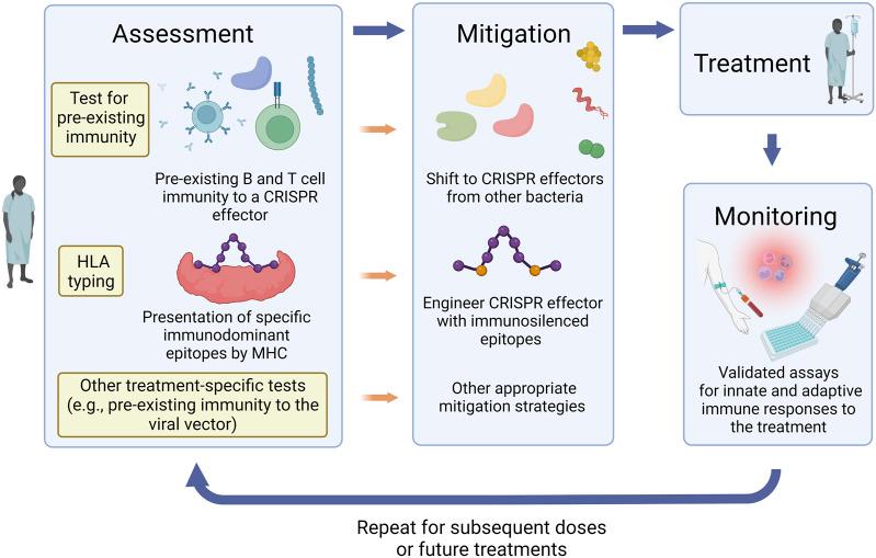 https://cdn.ncbi.nlm.nih.gov/pmc/blobs/8afb/9978118/2e9e7bacbf90/fbioe-11-1138596-g002.jpg