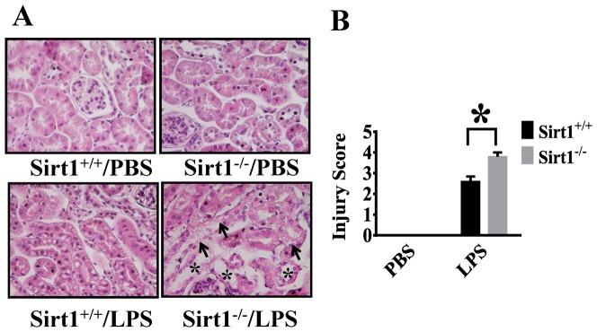 https://cdn.ncbi.nlm.nih.gov/pmc/blobs/8afd/4045768/f8462ce91a30/pone.0098909.g002.jpg