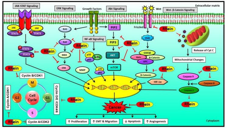 https://cdn.ncbi.nlm.nih.gov/pmc/blobs/8aff/7288145/01c938e1afdd/molecules-25-02278-g004.jpg