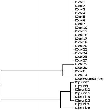 https://cdn.ncbi.nlm.nih.gov/pmc/blobs/8b00/4890334/27f702661cd3/13099_2016_108_Fig2_HTML.jpg