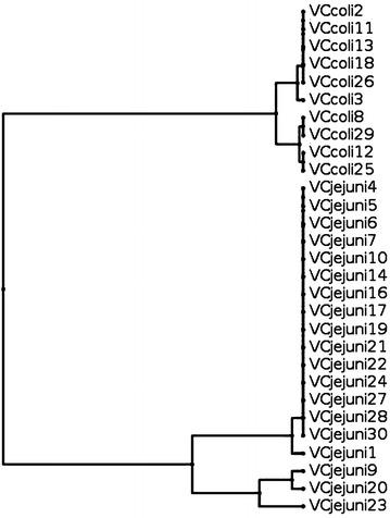 https://cdn.ncbi.nlm.nih.gov/pmc/blobs/8b00/4890334/6625403b62bf/13099_2016_108_Fig5_HTML.jpg