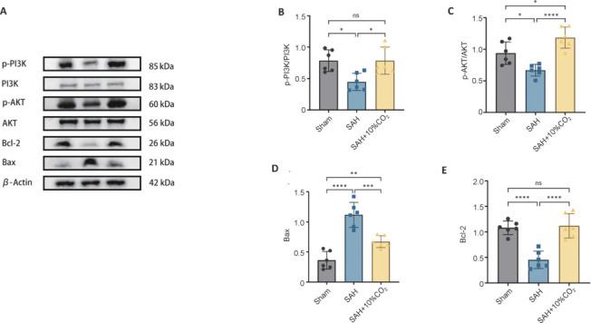 https://cdn.ncbi.nlm.nih.gov/pmc/blobs/8b04/12054663/0a3c1a704829/MGR-15-391-g006.jpg