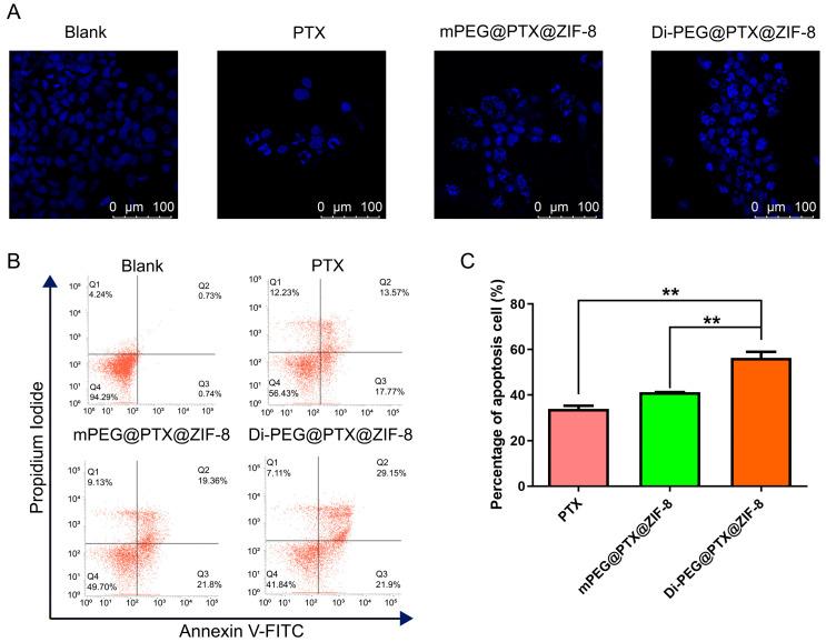 https://cdn.ncbi.nlm.nih.gov/pmc/blobs/8b06/10383971/045b2904058c/pharmaceutics-15-01874-g007.jpg