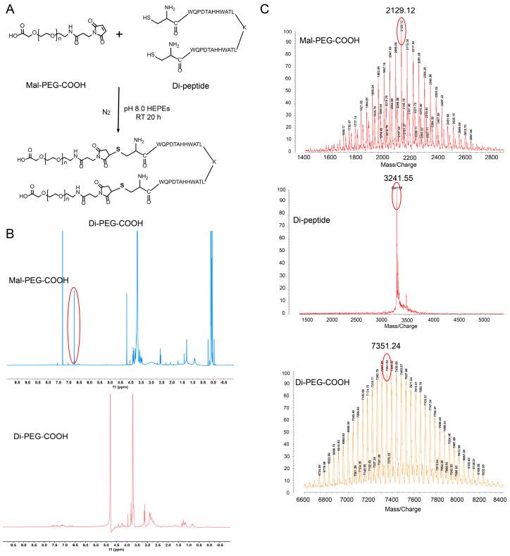 https://cdn.ncbi.nlm.nih.gov/pmc/blobs/8b06/10383971/1b89b1b20714/pharmaceutics-15-01874-g001.jpg