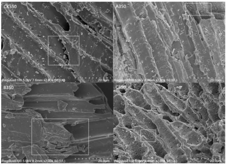 https://cdn.ncbi.nlm.nih.gov/pmc/blobs/8b08/11767991/de208b036a33/molecules-30-00347-g001.jpg