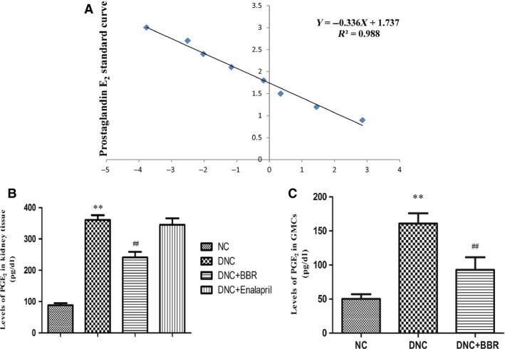 https://cdn.ncbi.nlm.nih.gov/pmc/blobs/8b0a/4956950/2bd72e025ca2/JCMM-20-1491-g003.jpg