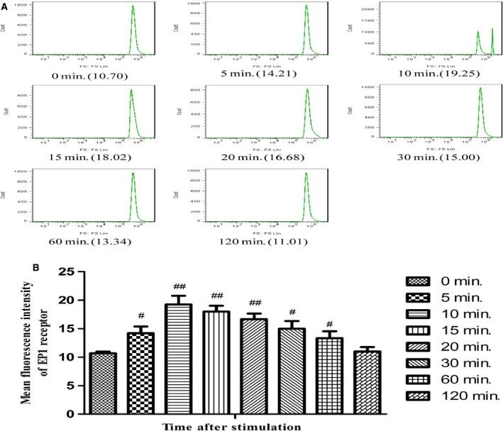 https://cdn.ncbi.nlm.nih.gov/pmc/blobs/8b0a/4956950/f15c4f715a68/JCMM-20-1491-g008.jpg