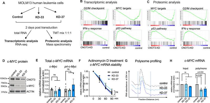 https://cdn.ncbi.nlm.nih.gov/pmc/blobs/8b0c/10943099/050797e44355/41467_2024_46665_Fig4_HTML.jpg