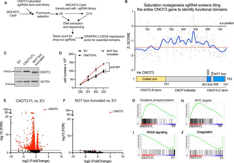 https://cdn.ncbi.nlm.nih.gov/pmc/blobs/8b0c/10943099/5505976c0928/41467_2024_46665_Fig3_HTML.jpg