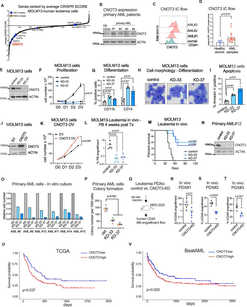 https://cdn.ncbi.nlm.nih.gov/pmc/blobs/8b0c/10943099/89193218835f/41467_2024_46665_Fig1_HTML.jpg