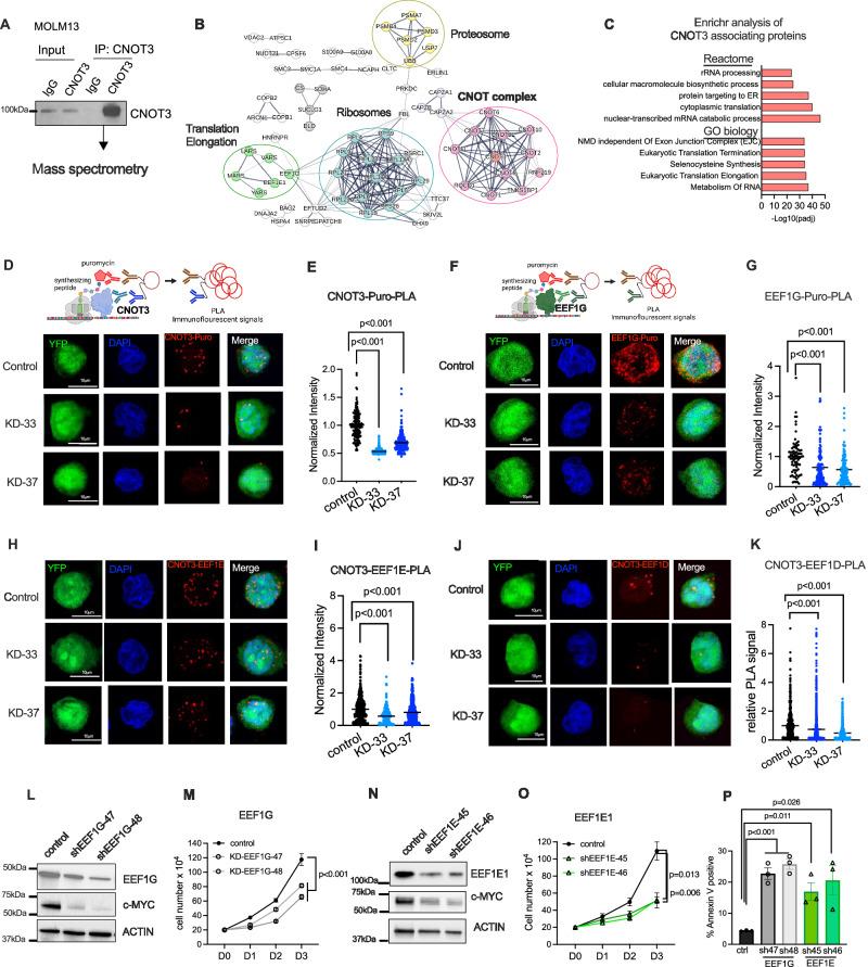 https://cdn.ncbi.nlm.nih.gov/pmc/blobs/8b0c/10943099/b8742770650d/41467_2024_46665_Fig6_HTML.jpg