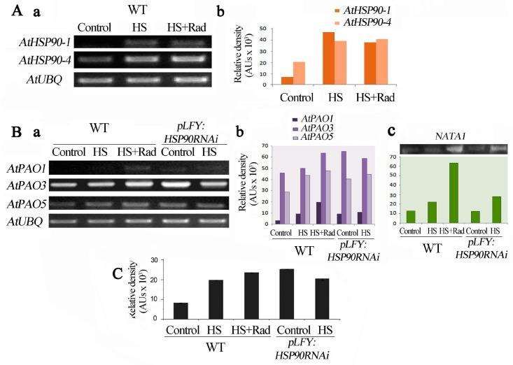 https://cdn.ncbi.nlm.nih.gov/pmc/blobs/8b0c/6783977/81560abfcc2c/plants-08-00323-g004.jpg