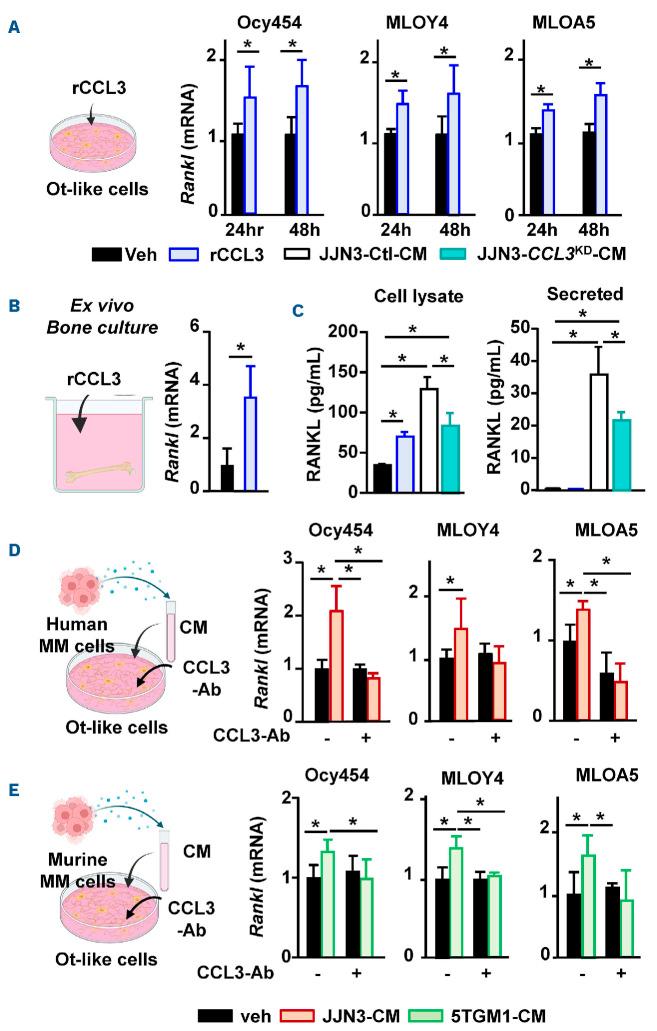 https://cdn.ncbi.nlm.nih.gov/pmc/blobs/8b0d/11959238/93584e5d0d38/110952.fig3.jpg