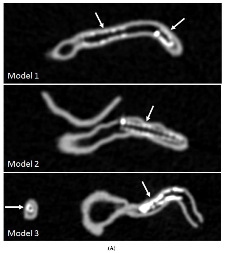 https://cdn.ncbi.nlm.nih.gov/pmc/blobs/8b0f/7699768/f74d0a496230/biomolecules-10-01577-g007a.jpg