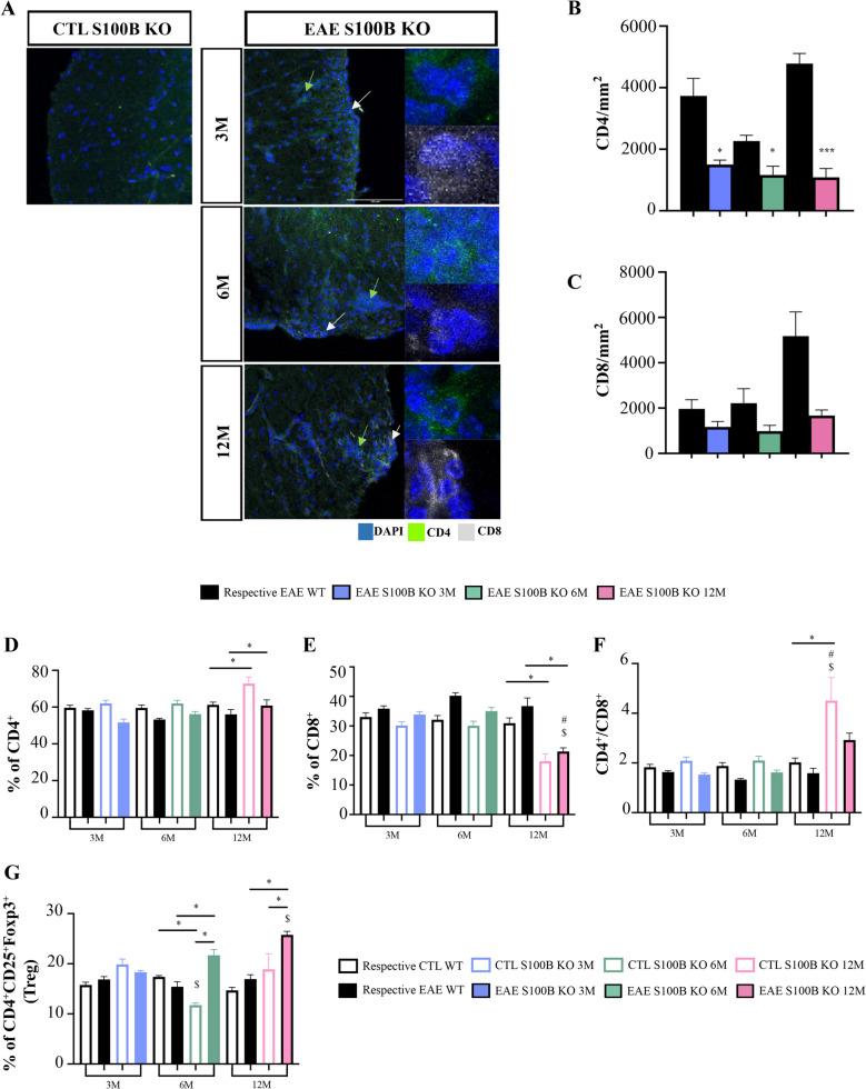 https://cdn.ncbi.nlm.nih.gov/pmc/blobs/8b10/11997003/459d80a965d4/11481_2025_10195_Fig8_HTML.jpg