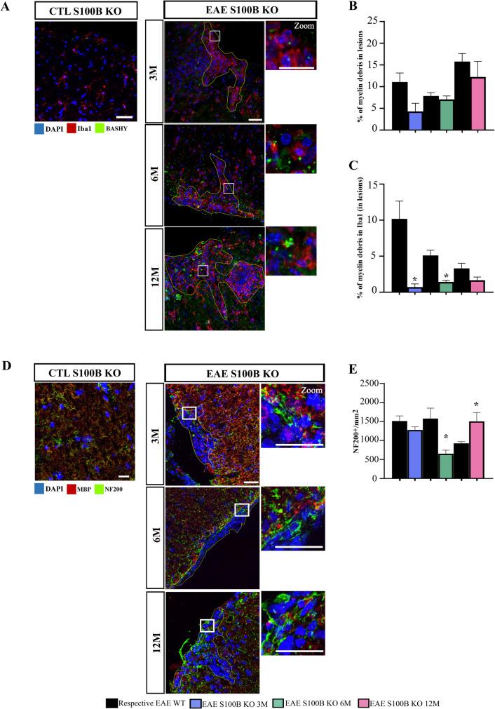 https://cdn.ncbi.nlm.nih.gov/pmc/blobs/8b10/11997003/a9b824c4db3e/11481_2025_10195_Fig7_HTML.jpg