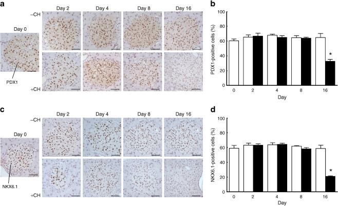 https://cdn.ncbi.nlm.nih.gov/pmc/blobs/8b10/3034032/01679bcb5658/125_2010_1973_Fig7_HTML.jpg