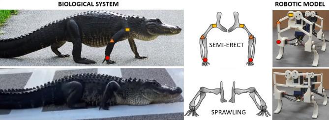 https://cdn.ncbi.nlm.nih.gov/pmc/blobs/8b11/12297303/546240682f37/41598_2025_7623_Fig1_HTML.jpg