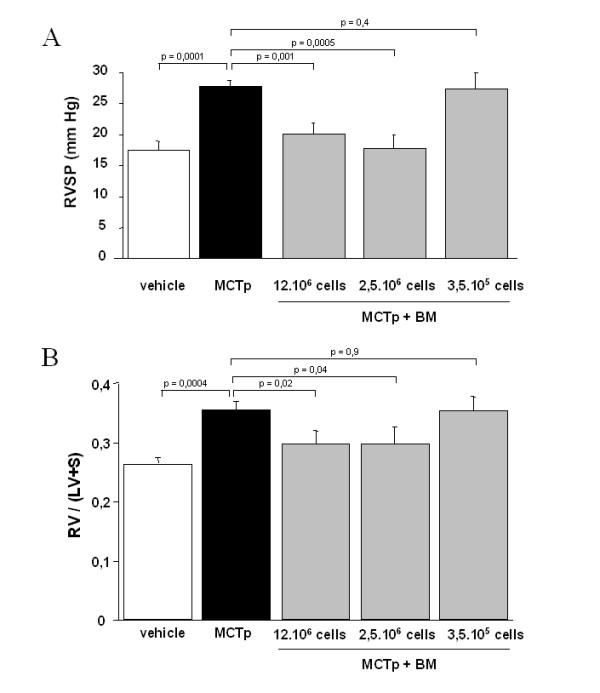 https://cdn.ncbi.nlm.nih.gov/pmc/blobs/8b11/1797016/40b9b0f4fa03/1465-9921-8-8-2.jpg
