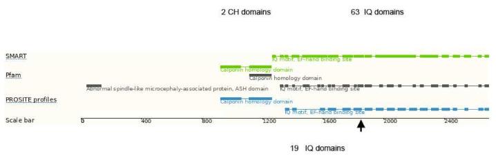 https://cdn.ncbi.nlm.nih.gov/pmc/blobs/8b11/8956106/57430e2a451d/genes-13-00429-g003.jpg
