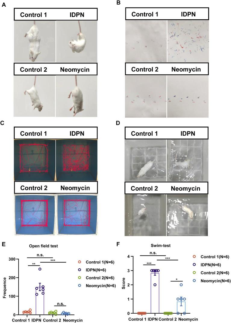 https://cdn.ncbi.nlm.nih.gov/pmc/blobs/8b12/11701596/3c895cf323d8/fnmol-17-1487364-g002.jpg