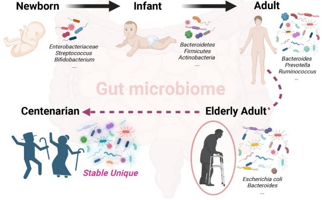 https://cdn.ncbi.nlm.nih.gov/pmc/blobs/8b12/11964416/34a4d2762f71/AD-16-2-980-g2.jpg