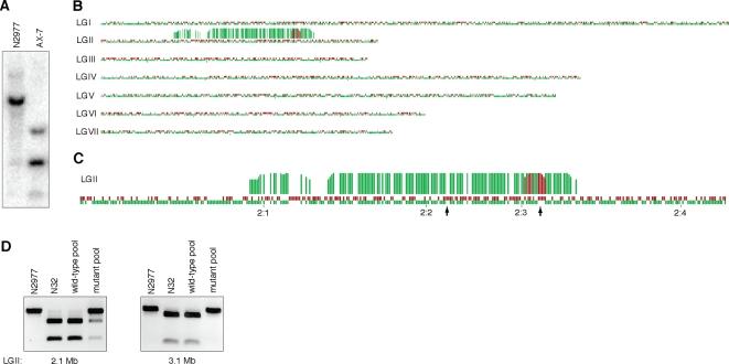 https://cdn.ncbi.nlm.nih.gov/pmc/blobs/8b12/2557064/d305755e6ee1/pone.0003376.g003.jpg