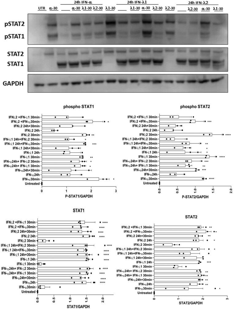 https://cdn.ncbi.nlm.nih.gov/pmc/blobs/8b12/9175560/537400a79bf5/JME-21-0224fig7.jpg
