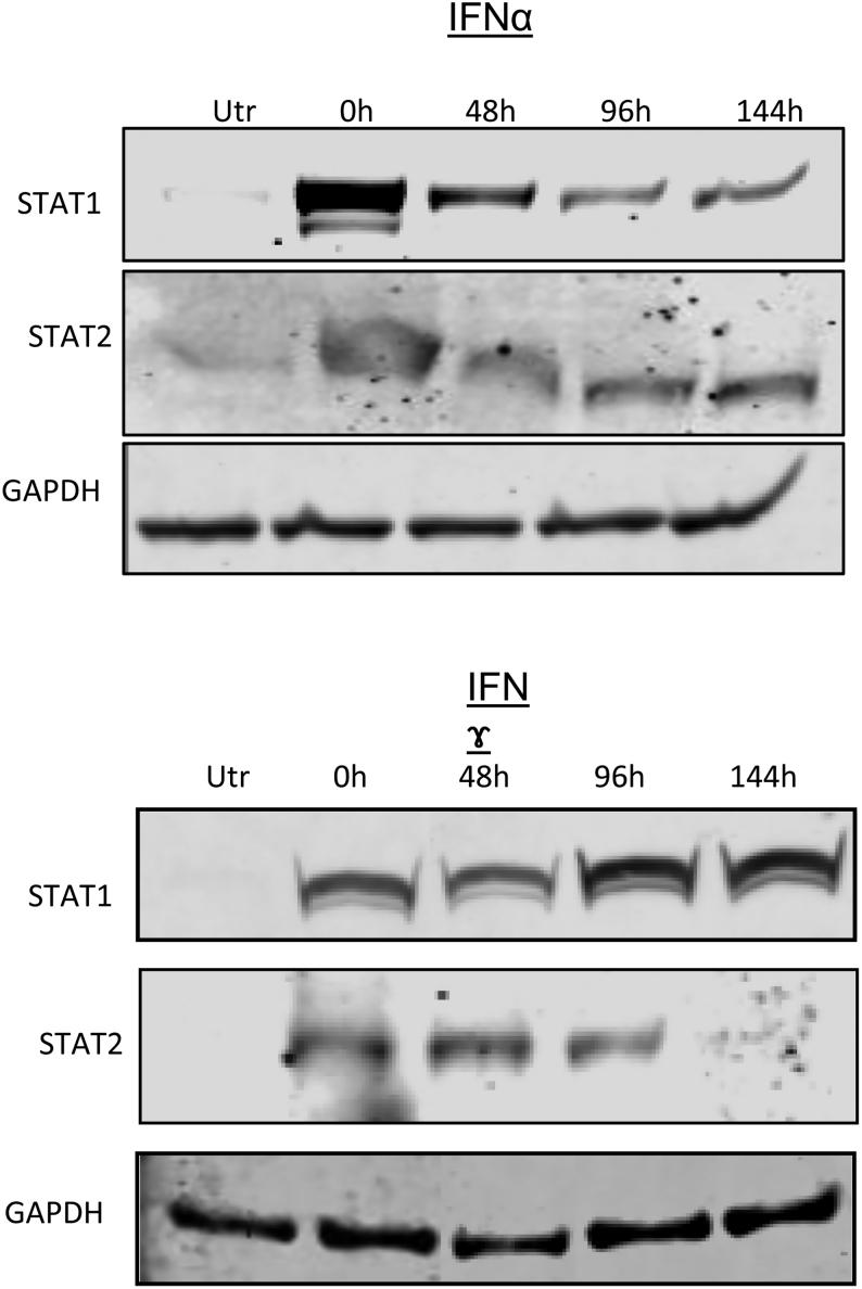 https://cdn.ncbi.nlm.nih.gov/pmc/blobs/8b12/9175560/8b08a8ff69b0/JME-21-0224fig3.jpg