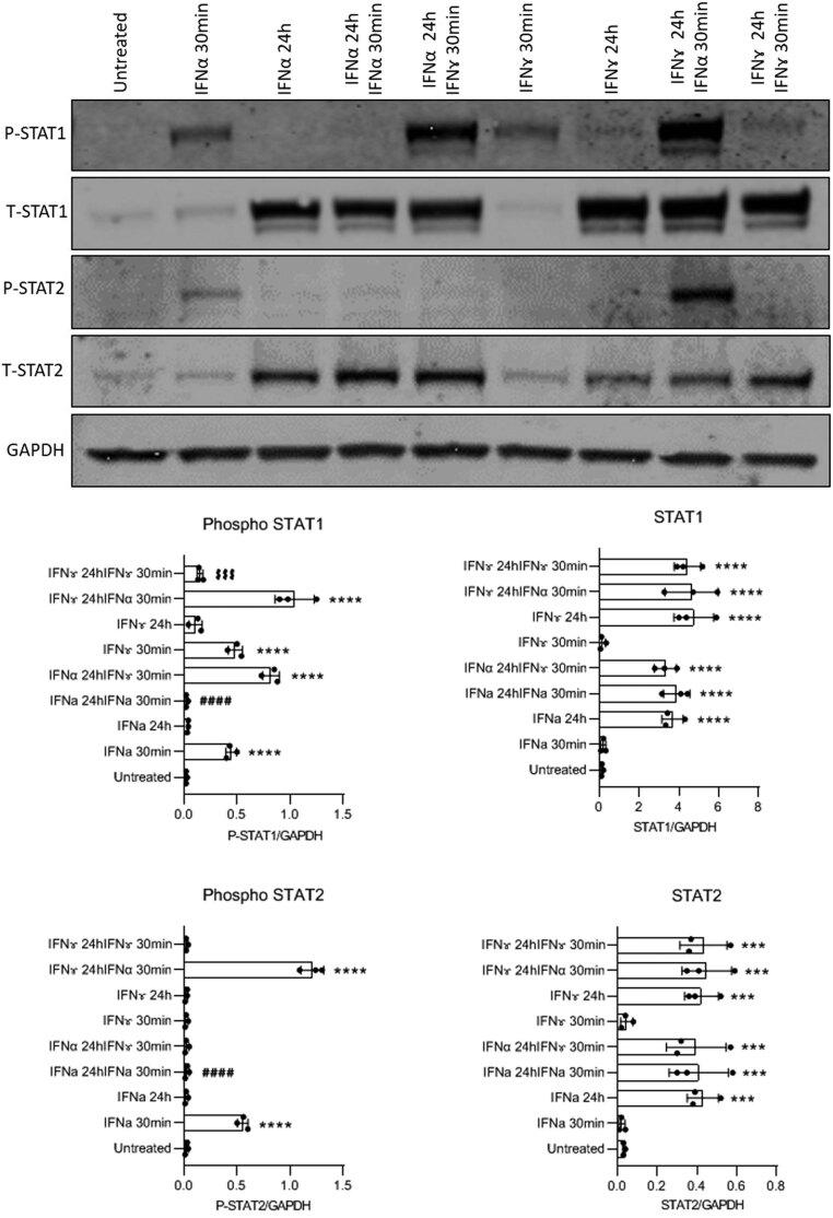 https://cdn.ncbi.nlm.nih.gov/pmc/blobs/8b12/9175560/8d72a8e12e2d/JME-21-0224fig6.jpg