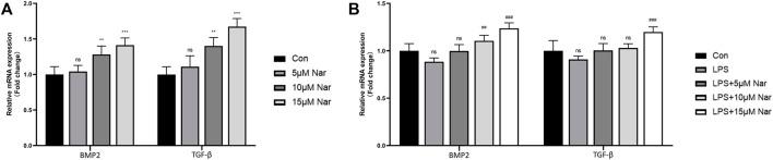 https://cdn.ncbi.nlm.nih.gov/pmc/blobs/8b14/9108355/0e326408f61c/fphar-13-872188-g004.jpg