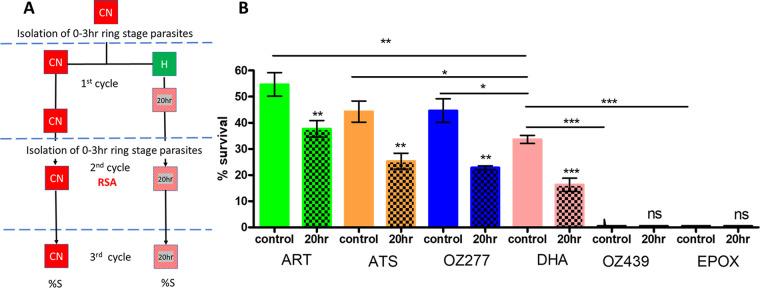 https://cdn.ncbi.nlm.nih.gov/pmc/blobs/8b14/9602862/0c32b38cfc32/spectrum.01282-21-f006.jpg