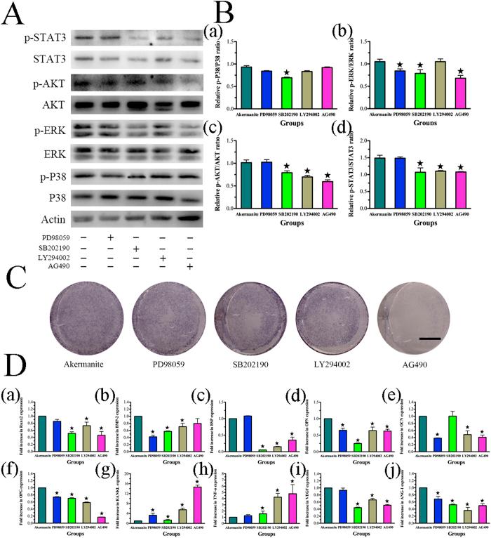 https://cdn.ncbi.nlm.nih.gov/pmc/blobs/8b16/4766478/999019a48a72/srep22005-f5.jpg