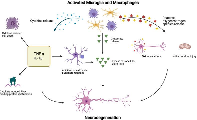 https://cdn.ncbi.nlm.nih.gov/pmc/blobs/8b17/8830034/ee9bf2d22bd2/12974_2022_2408_Fig3_HTML.jpg
