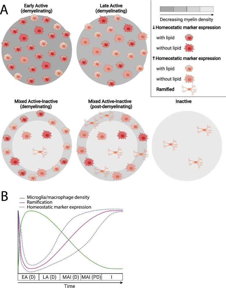 https://cdn.ncbi.nlm.nih.gov/pmc/blobs/8b17/8830034/fd85964a7b81/12974_2022_2408_Fig1_HTML.jpg