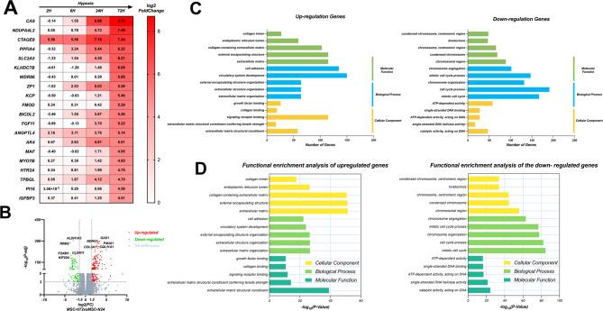 https://cdn.ncbi.nlm.nih.gov/pmc/blobs/8b18/12220557/1c53e2501130/12896_2025_993_Fig3_HTML.jpg