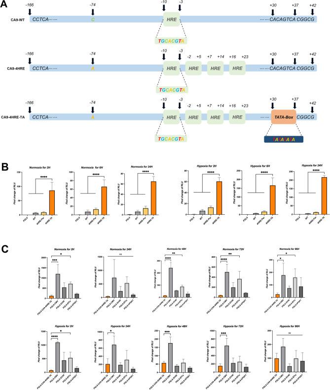 https://cdn.ncbi.nlm.nih.gov/pmc/blobs/8b18/12220557/de29e9bfb1ff/12896_2025_993_Fig2_HTML.jpg