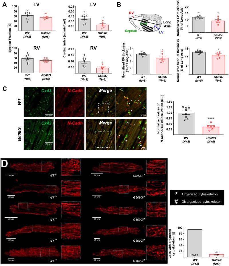 https://cdn.ncbi.nlm.nih.gov/pmc/blobs/8b19/8803078/76b3b0d1749d/cvab055f1.jpg