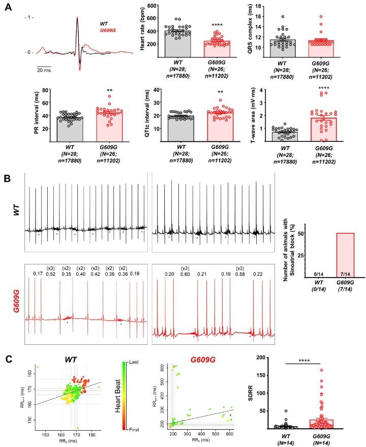 https://cdn.ncbi.nlm.nih.gov/pmc/blobs/8b19/8803078/f0a18208fd79/cvab055f3.jpg