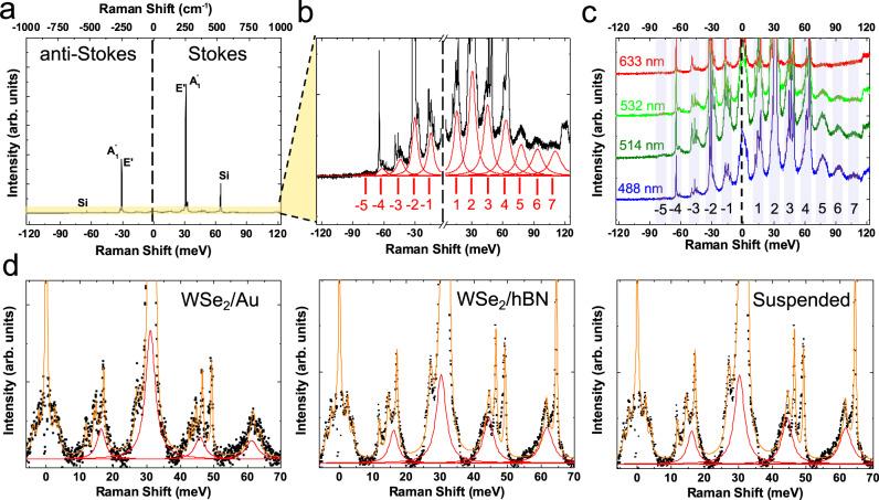 https://cdn.ncbi.nlm.nih.gov/pmc/blobs/8b1b/7822848/cbb28a04c7b0/41467_2020_20244_Fig1_HTML.jpg