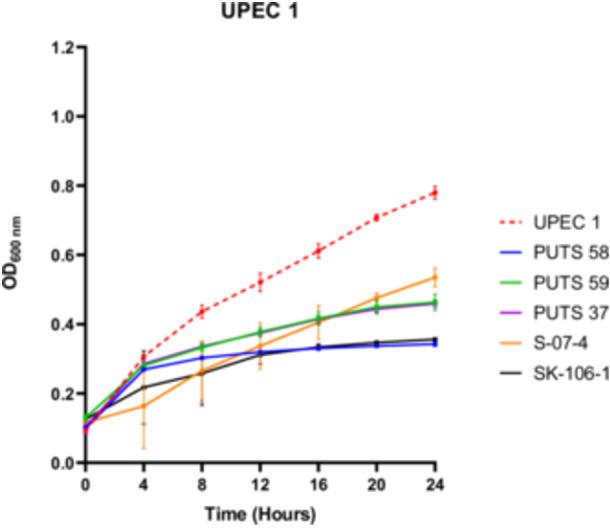 https://cdn.ncbi.nlm.nih.gov/pmc/blobs/8b1d/11070844/cfb39d283b80/MBO3-13-e1411-g005.jpg