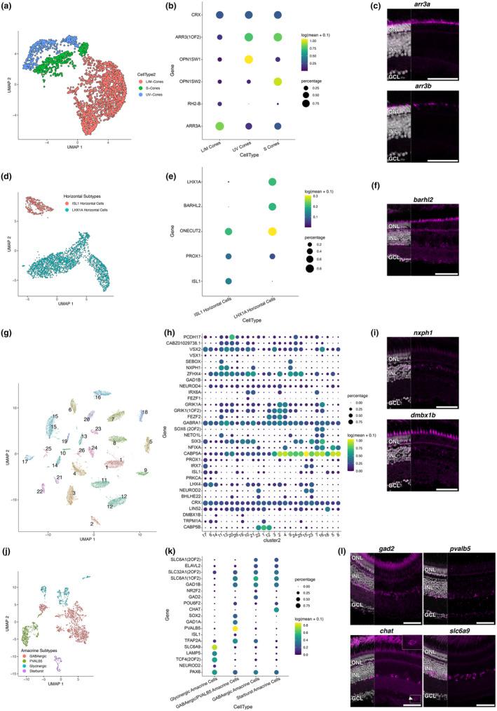 https://cdn.ncbi.nlm.nih.gov/pmc/blobs/8b1e/11320354/b45aaa9f360e/ACEL-23-e14192-g004.jpg