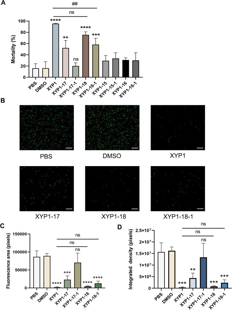 https://cdn.ncbi.nlm.nih.gov/pmc/blobs/8b1e/11373213/27ebfcb633e5/13071_2024_6455_Fig2_HTML.jpg