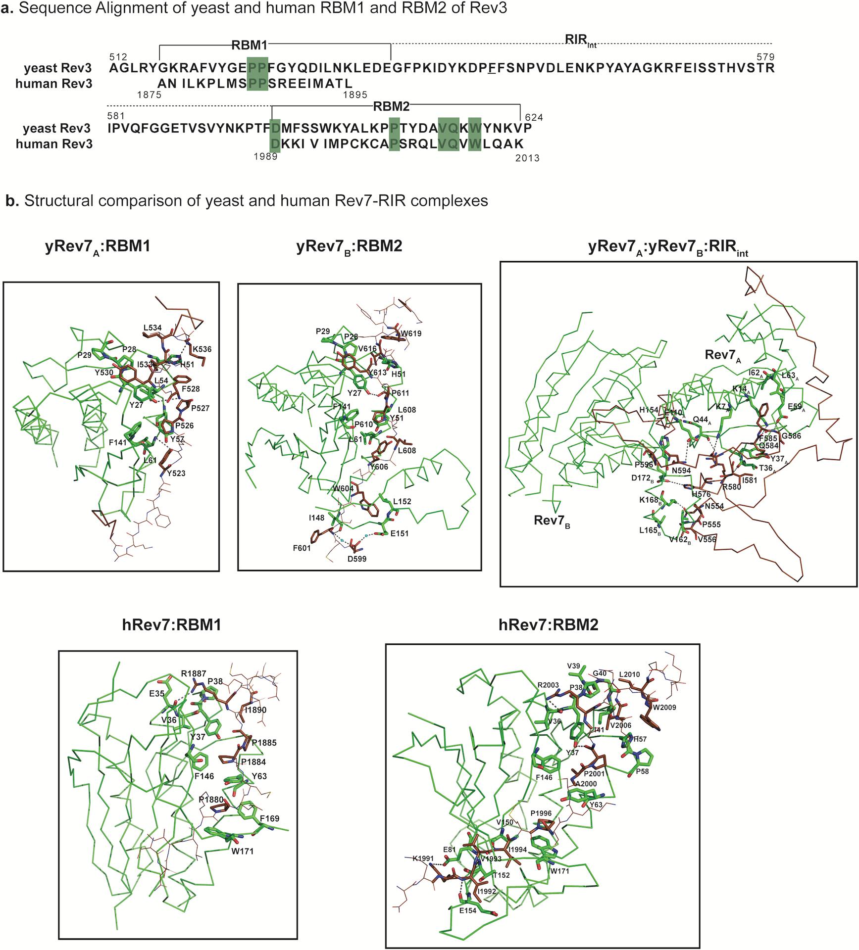 https://cdn.ncbi.nlm.nih.gov/pmc/blobs/8b1f/7554088/17b865f887a0/nihms-1608256-f0012.jpg
