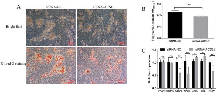 https://cdn.ncbi.nlm.nih.gov/pmc/blobs/8b1f/8871969/fdb0ab7f8e3e/genes-13-00260-g002.jpg