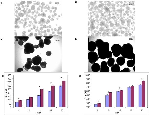 https://cdn.ncbi.nlm.nih.gov/pmc/blobs/8b22/2816999/2090c5e5abe7/pone.0009105.g005.jpg